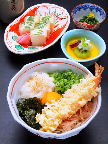 Ebi Oroshi Set (noodles with shrimp tempura and radish)